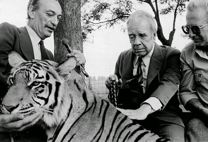 borges e o tigre